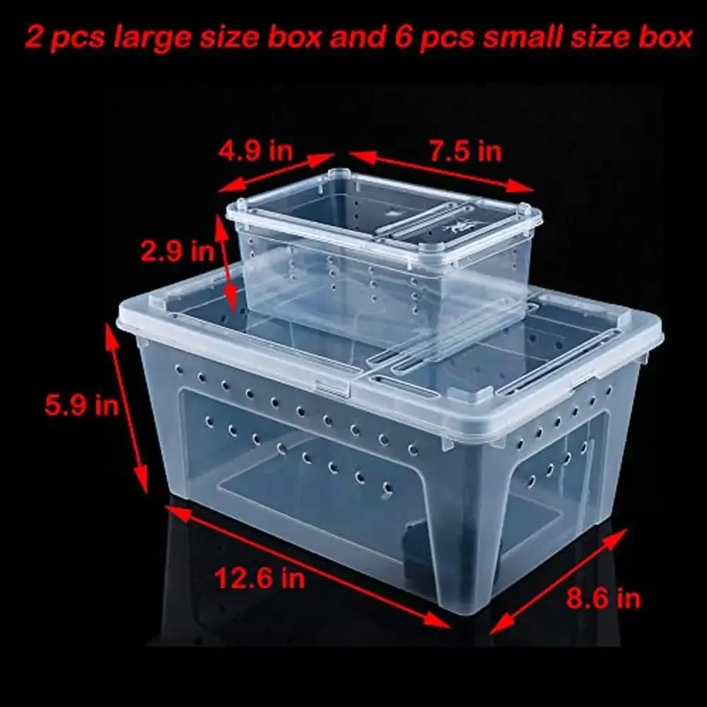 Reptile Feeding Box Plastic Transparent Breeding Habitat