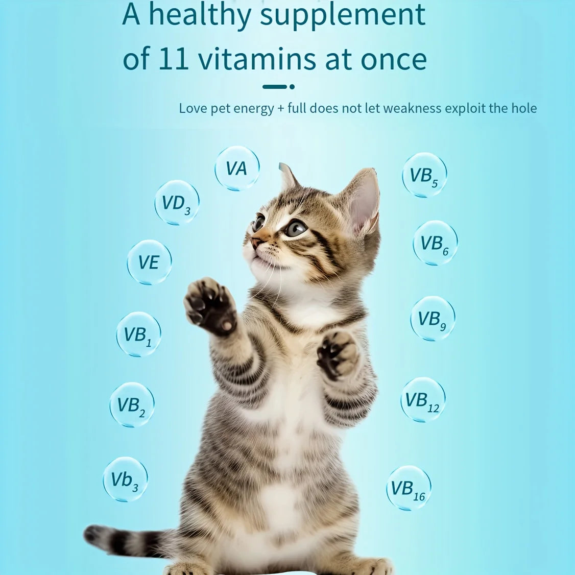 2-Pack 400 Count - Dog and Cats Multivitamin