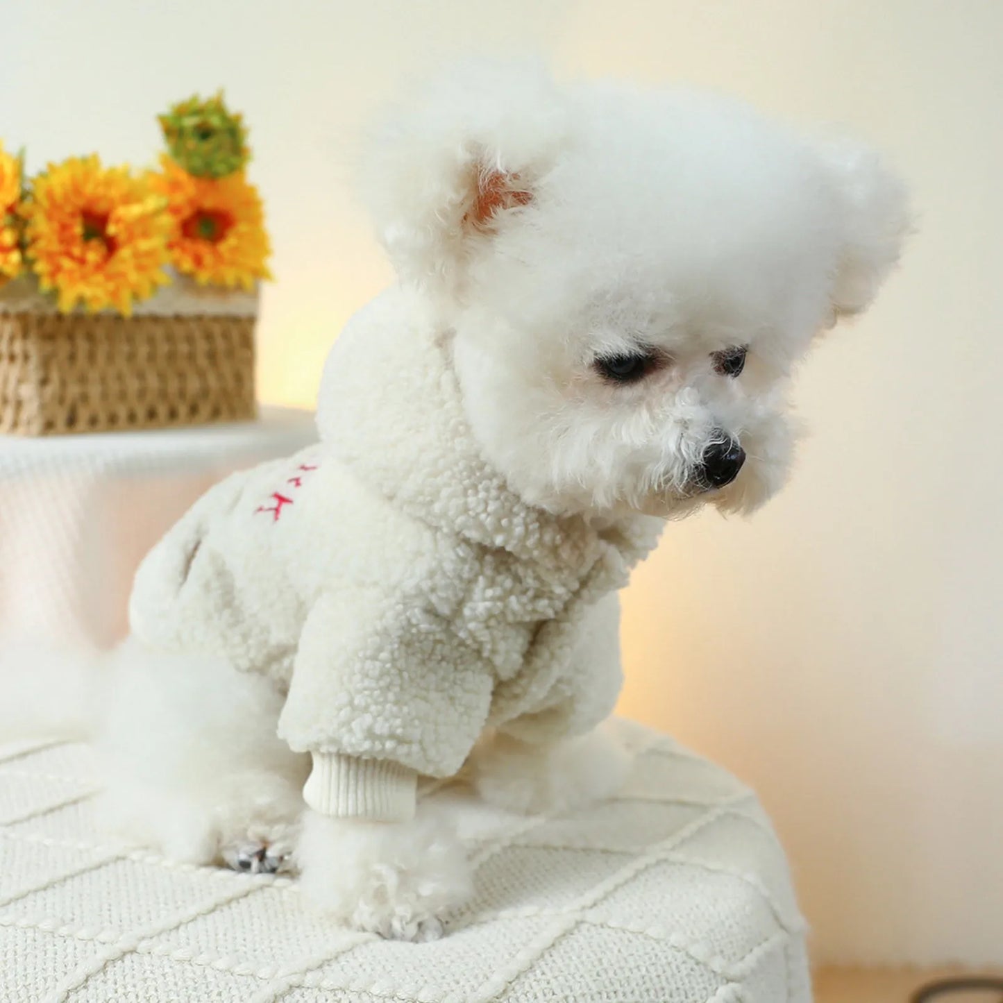 Dog Or Cat Clothing Lamb Wool Autumn/Winter Hoodie