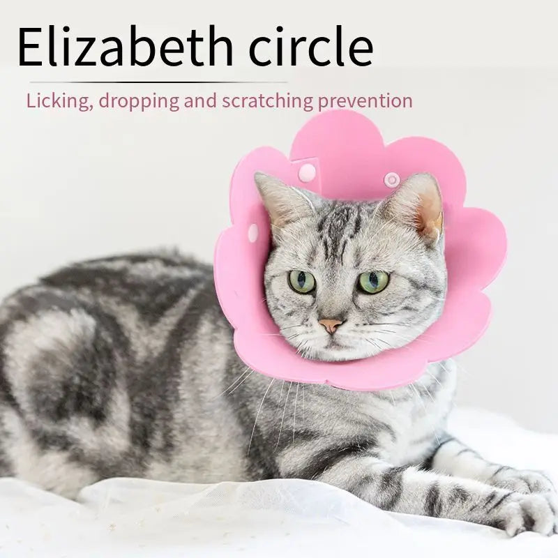 Flower Shaped Elizabethan Cat Recovery Collar Healing pet Cone