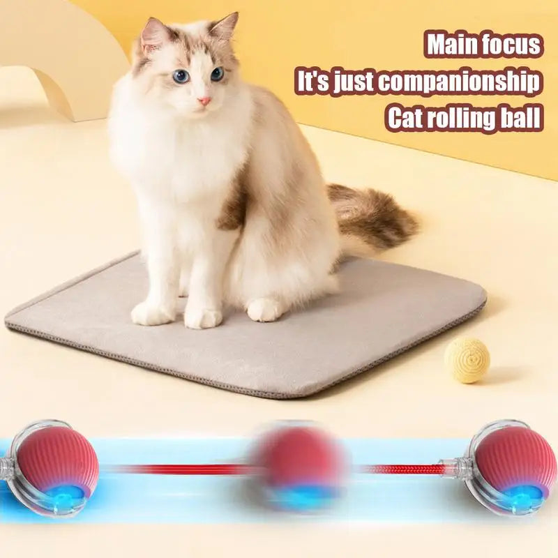 Interactive Cat Rolling Ball Super Drive Toy
