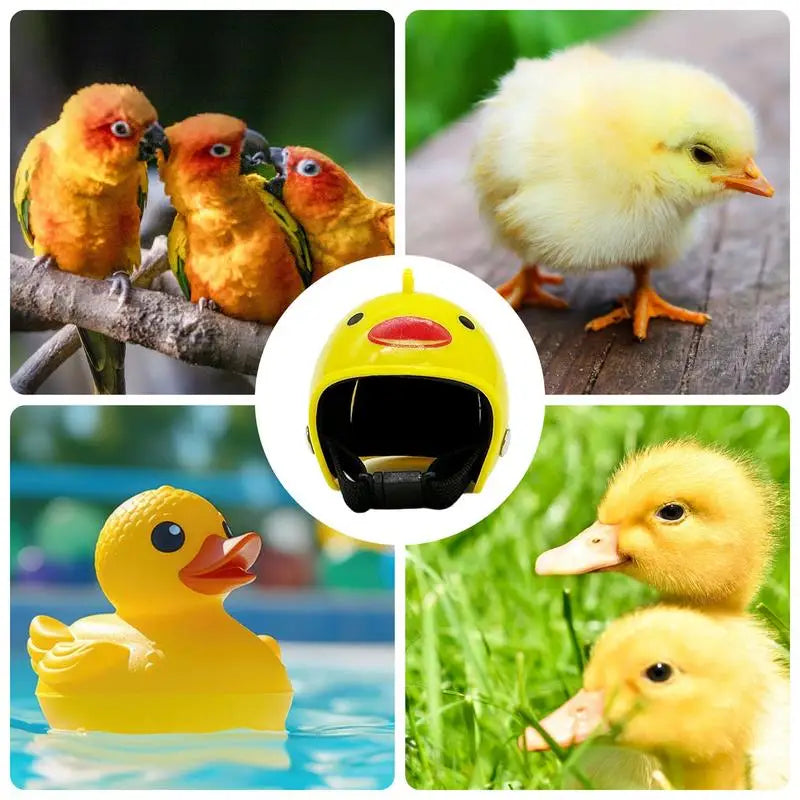 MIni Safety Hat Adjustable Hard Hat For Chicks Parakeets Parrots Birds Ducks