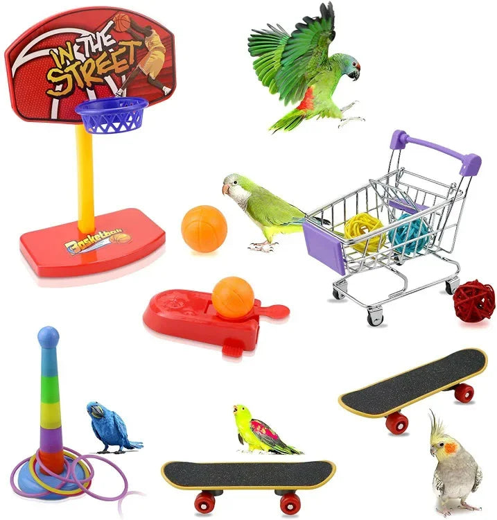 Bird Training Toy Supplies Toy Accessories