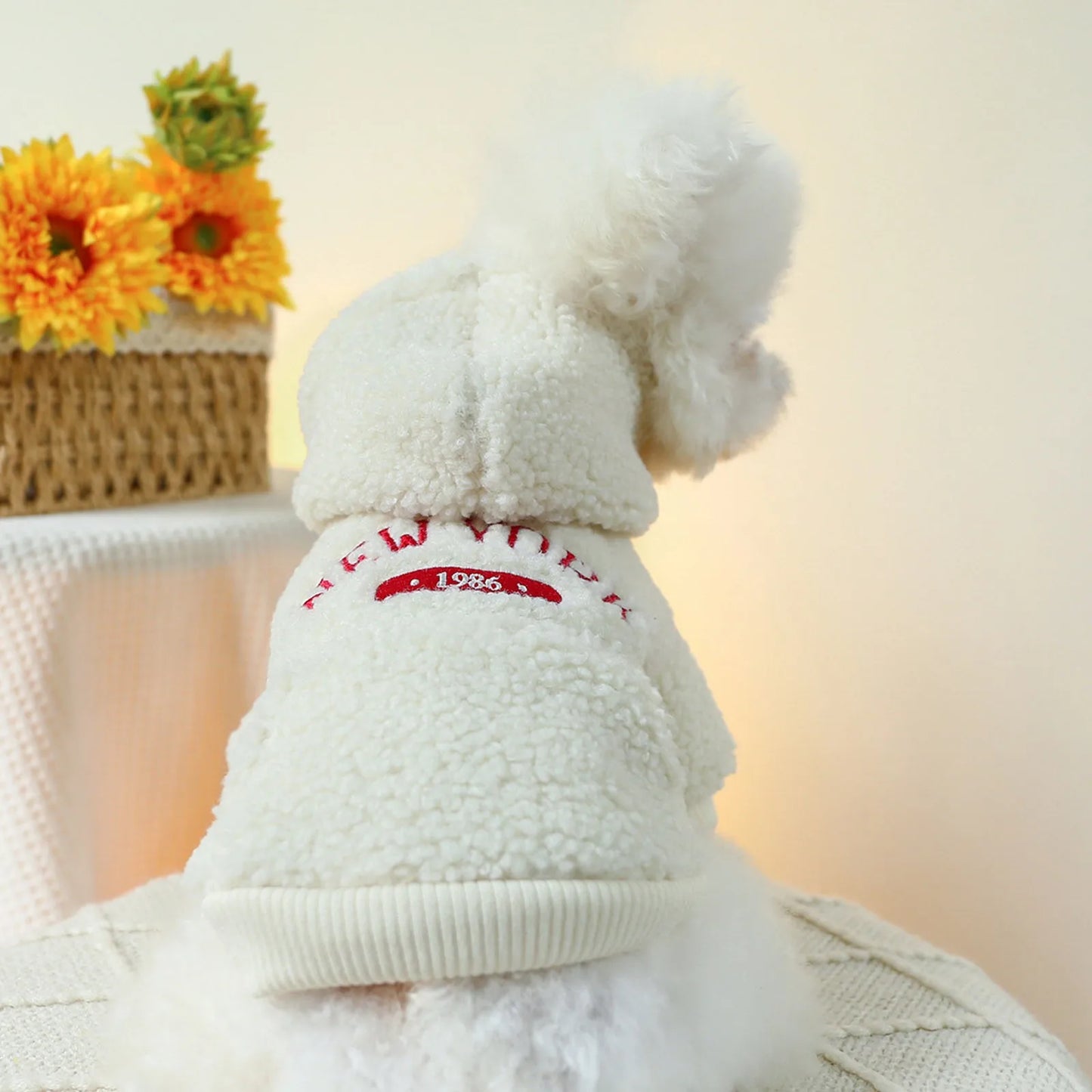 Dog Or Cat Clothing Lamb Wool Autumn/Winter Hoodie
