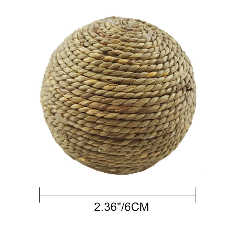 4PCS Pet Chew Toy for Small Pet