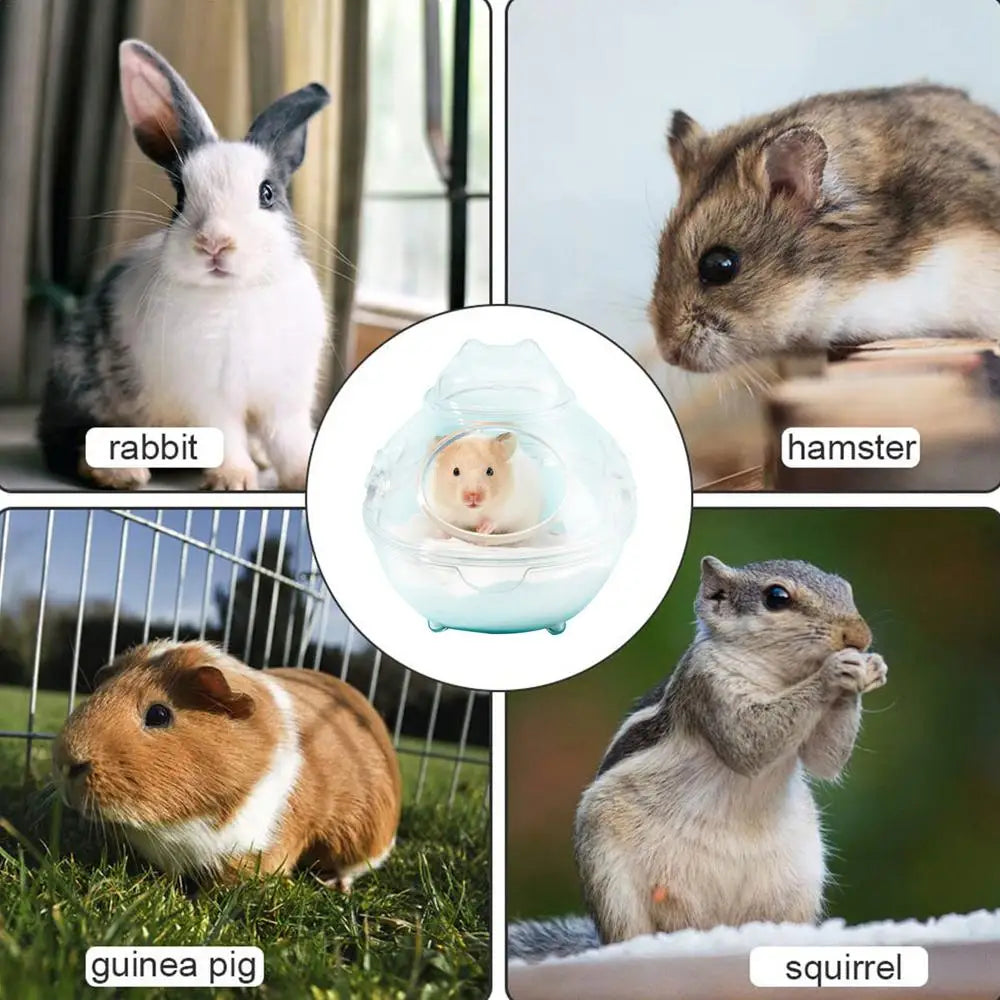 Hamster Sand Bath Container Transparent Hamster Bath