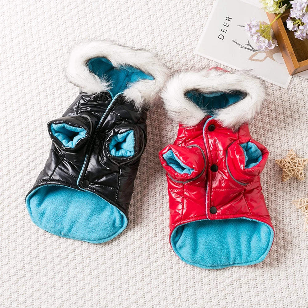 Winter Warm Dog Clothes Bright Color Jacket Waterproof Dog Coat