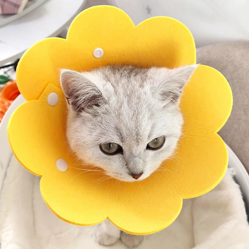 Flower Shaped Elizabethan Cat Recovery Collar Healing pet Cone
