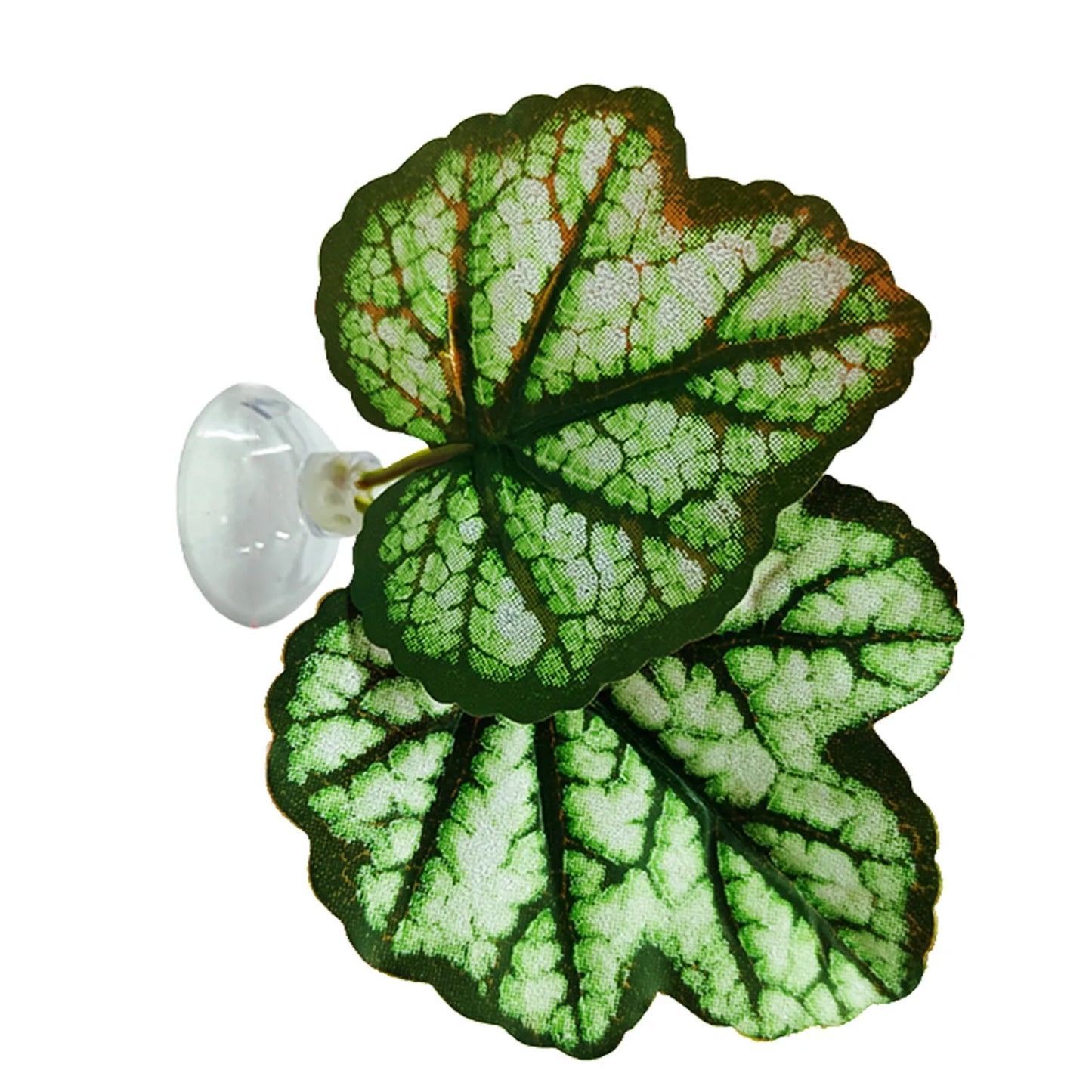 Betta Fish Leaf Pad Aquarium Plants