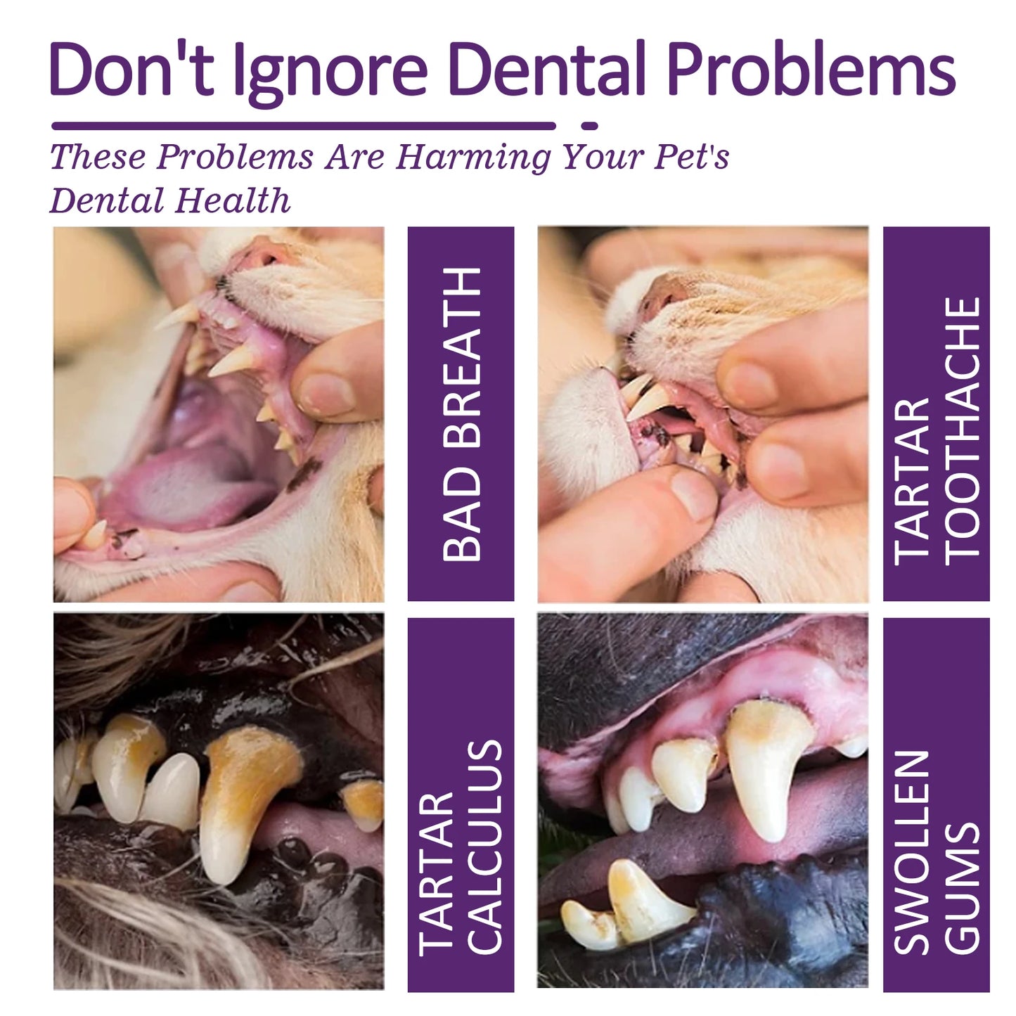 Pets V34 Cleaning Toothpaste Dental Fresh breath