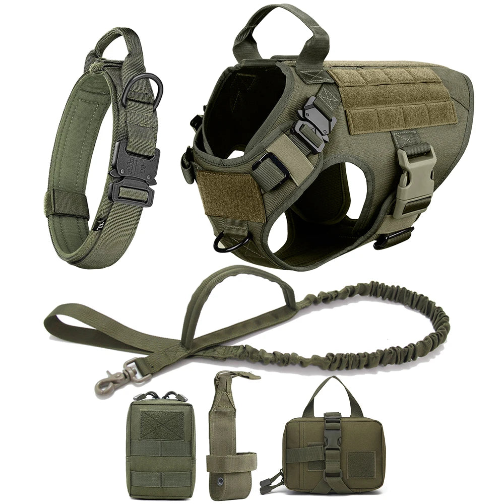 Dog Harness And Leash Set Pet Training Walking Vest