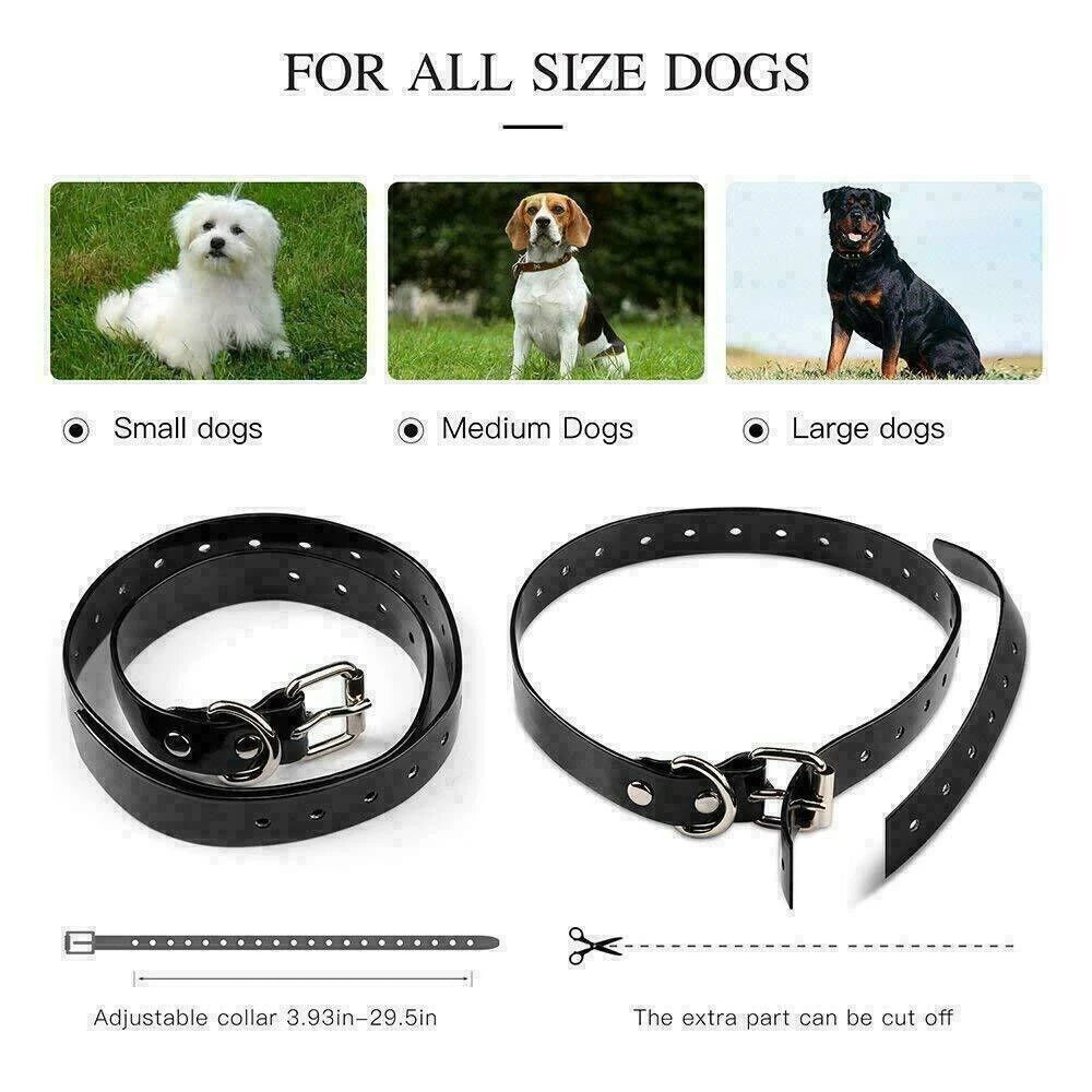Dog Shock Training Collar Rechargeable Remote Control