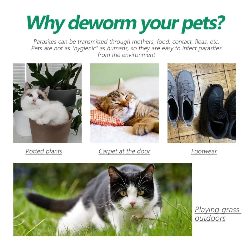Pet Fleas and Ticks Collar Adjustable