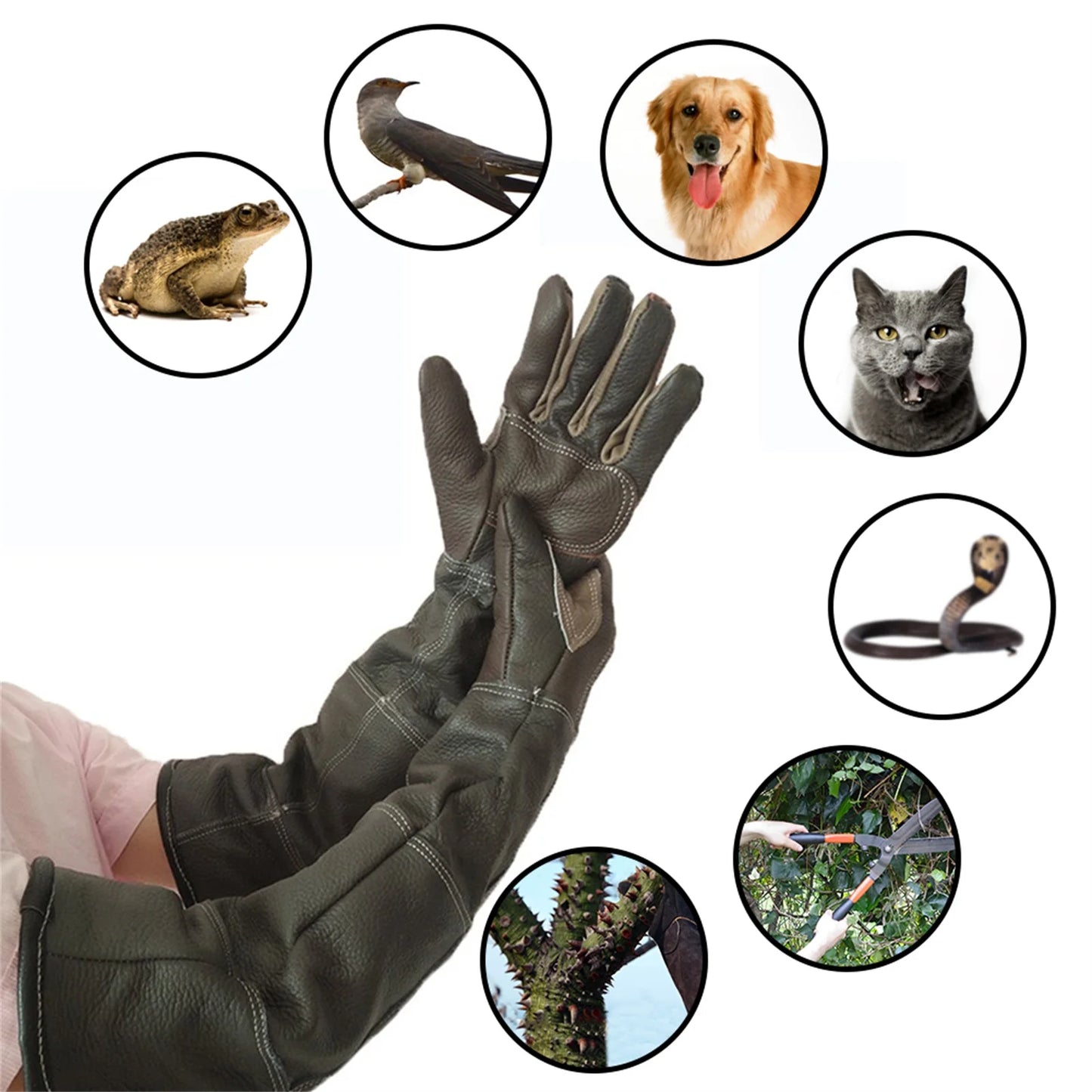 Pet Gloves Cowhide Leather Anti Bite Protective