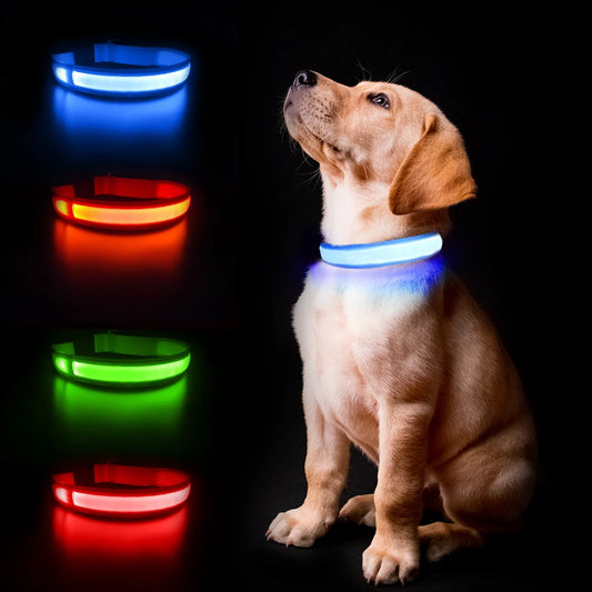 MASBRILL Dog Collar Luminous Pet Collar