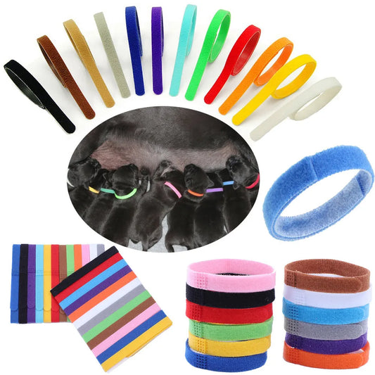 12 Colors Puppy ID Collar Nylon Identification Collars