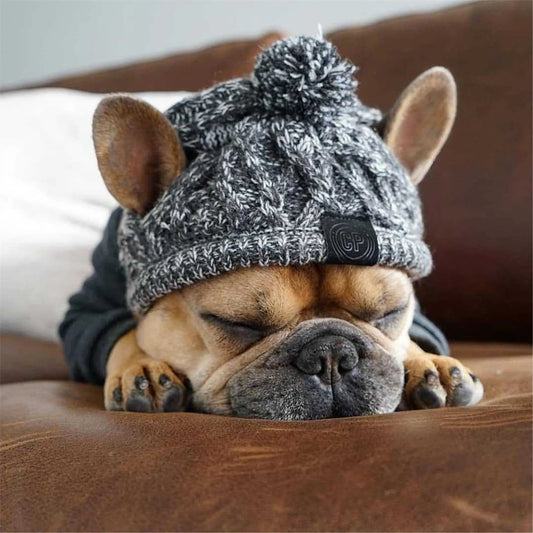 Winter Warm Windproof Knitting  Hat For Dogs