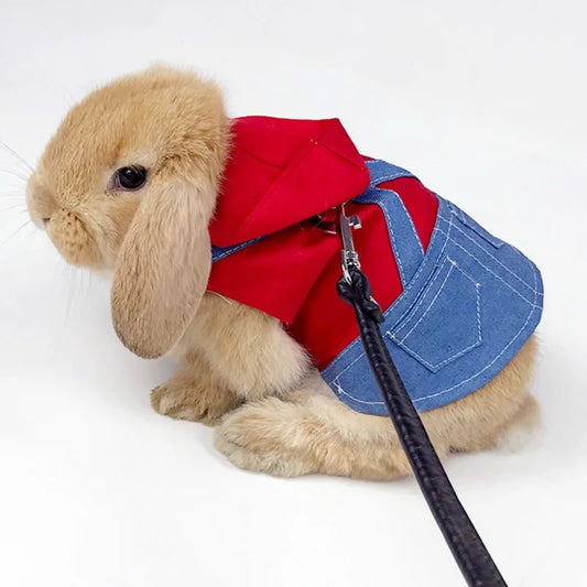 Cute Bunny Rabbit Dress Clothes or for Small Animal