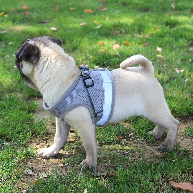 Reflective Harness with Leash Adjustable Pet Harnesses Vest