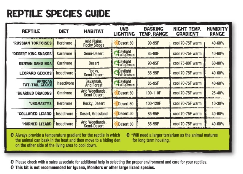 small Reptile Starter Habitat Kit with Light and Heat