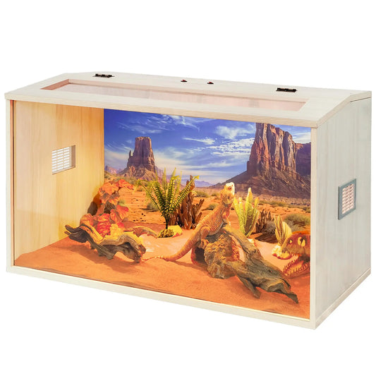 Reptile Terrarium Tank