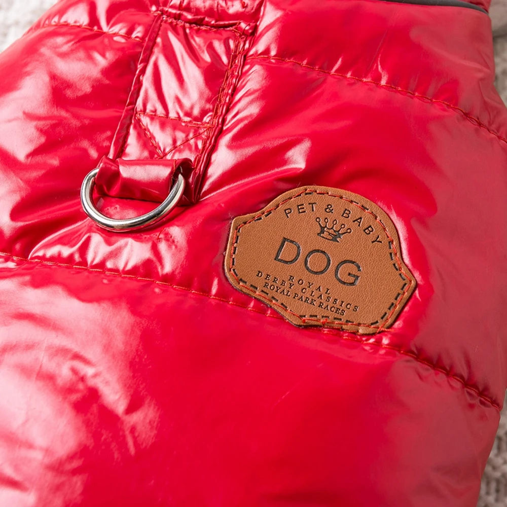 Winter Warm Dog Clothes Bright Color Jacket Waterproof Dog Coat