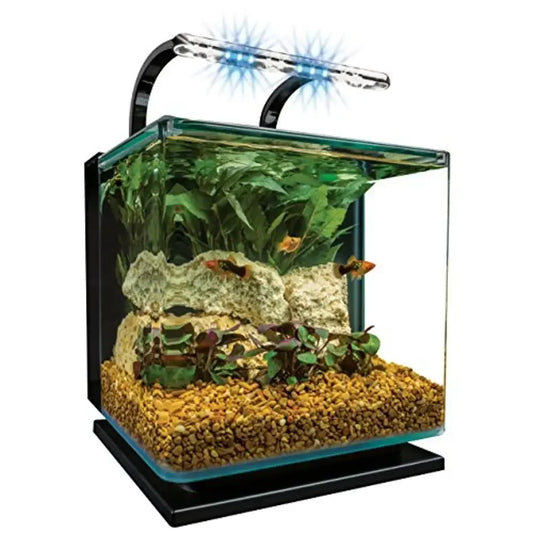 Glass Aquarium Kit with Rail Light Shimmering Daylight Moonlit Glow