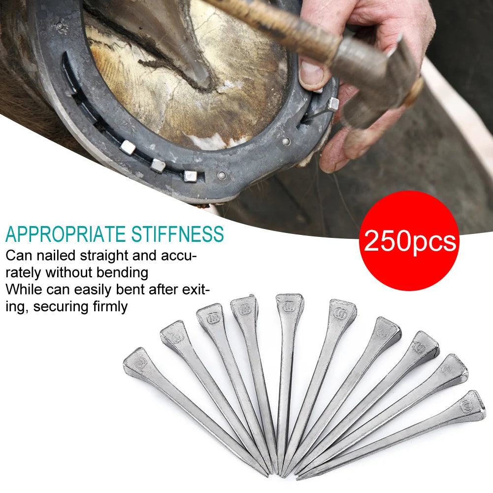 250Pcs Steel Horseshoe Nail E6 High Quality Nail