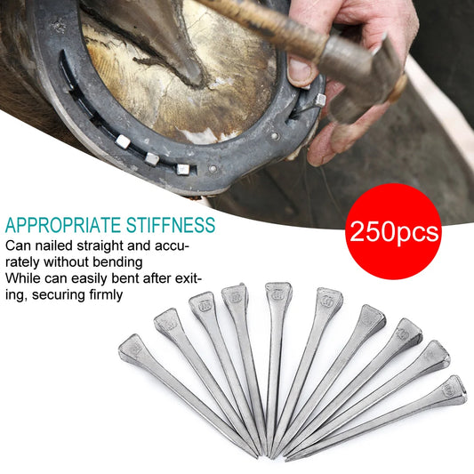 250Pcs Steel Horseshoe Nail E6 High Quality Nail