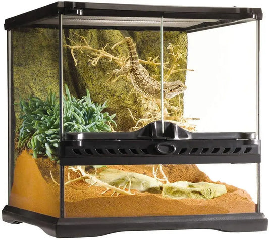 Glass Terrarium Kit for Reptiles and Amphibians - Mini Wide
