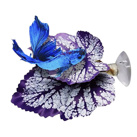 Betta Fish Leaf Pad Aquarium Plants