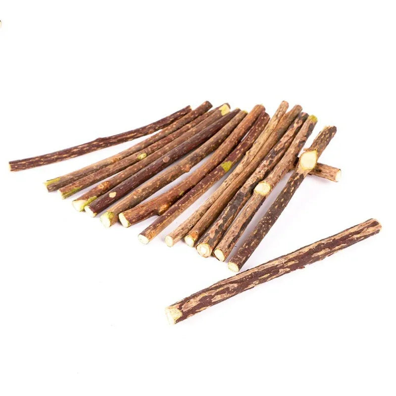 Cat Chew Toys Catnip Matatabi Silvervine Sticks