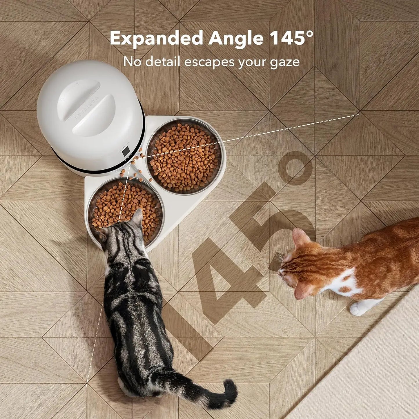 Automatic Cat Feeder with Camera for Two Cats