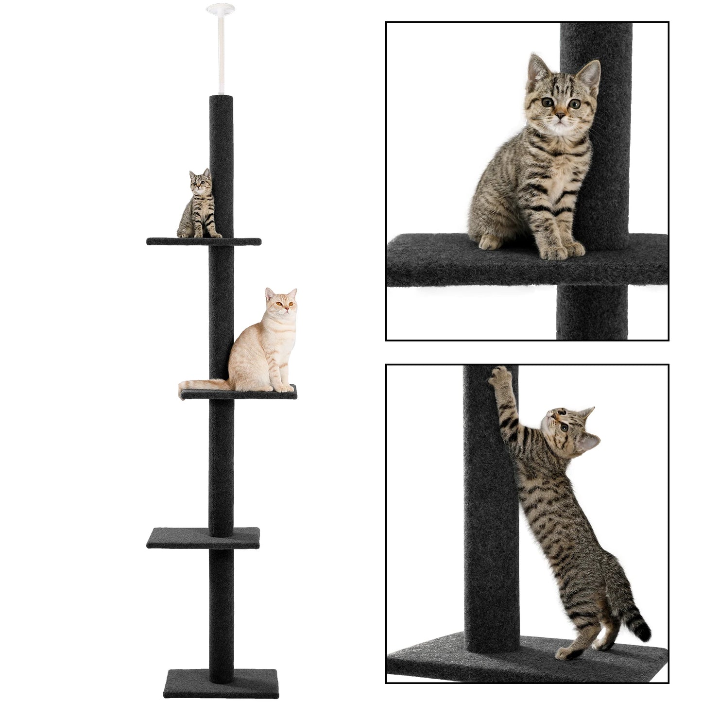 Adjustable Height Cat Tree for Indoor Tower with Scratching Posts
