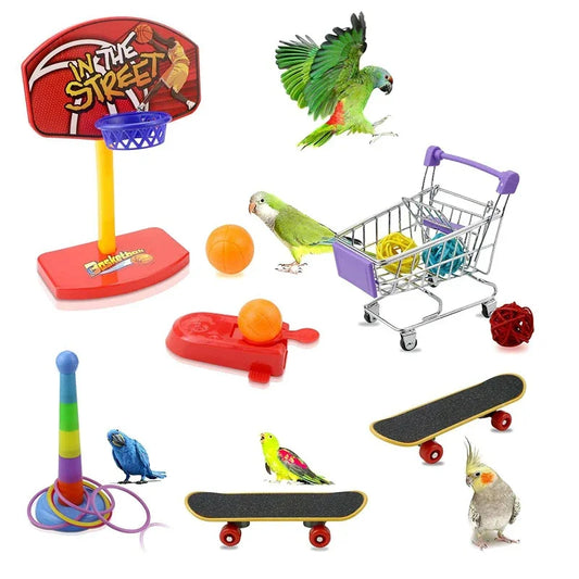 Bird Training Toy Supplies  Toy Accessories