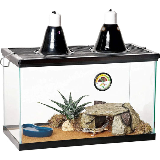 small Reptile Starter Habitat Kit with Light and Heat