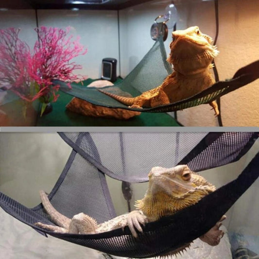 Hammock Lounger Ideal for Bearded Dragons