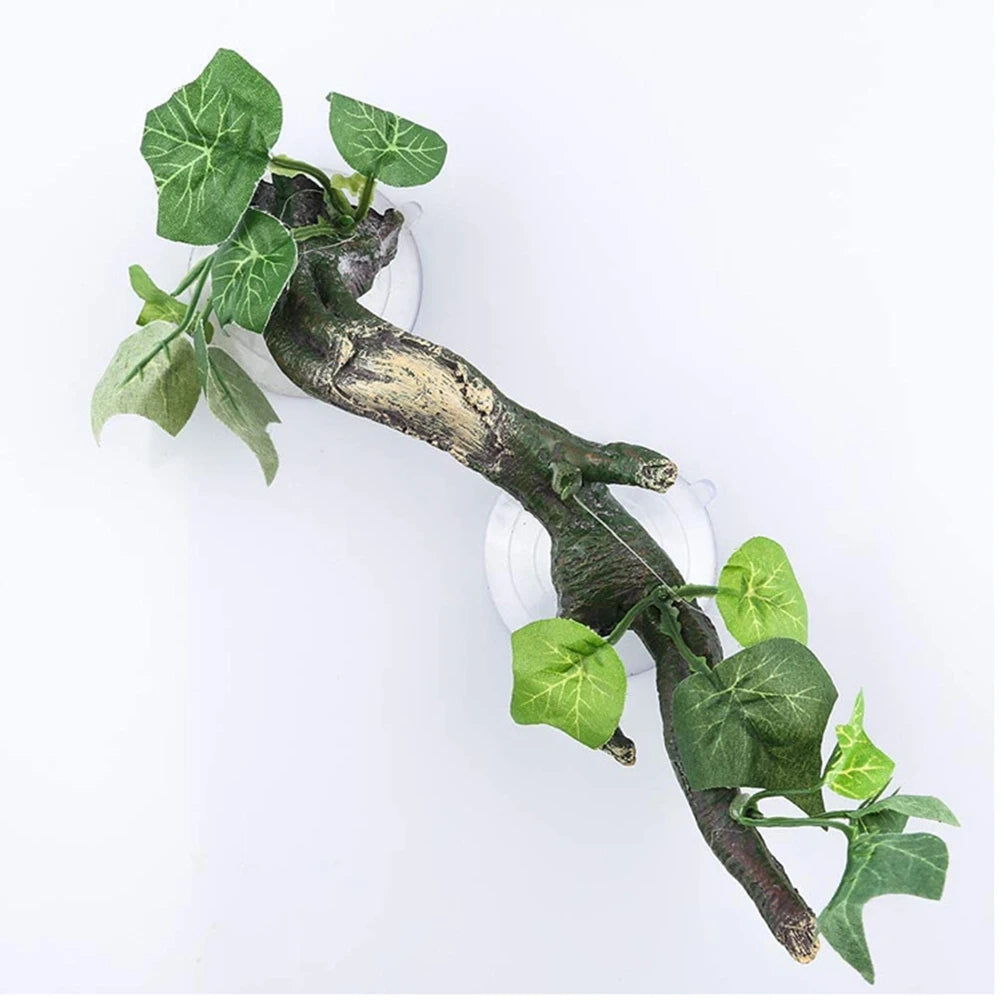 Terrarium Plant Decoration Garden Decoration for Amphibian