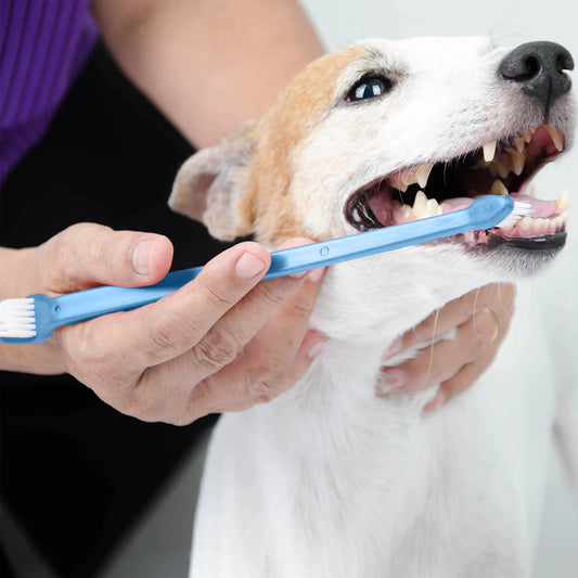 Toothbrush Dog or Puppy Tooth Brushing Kit