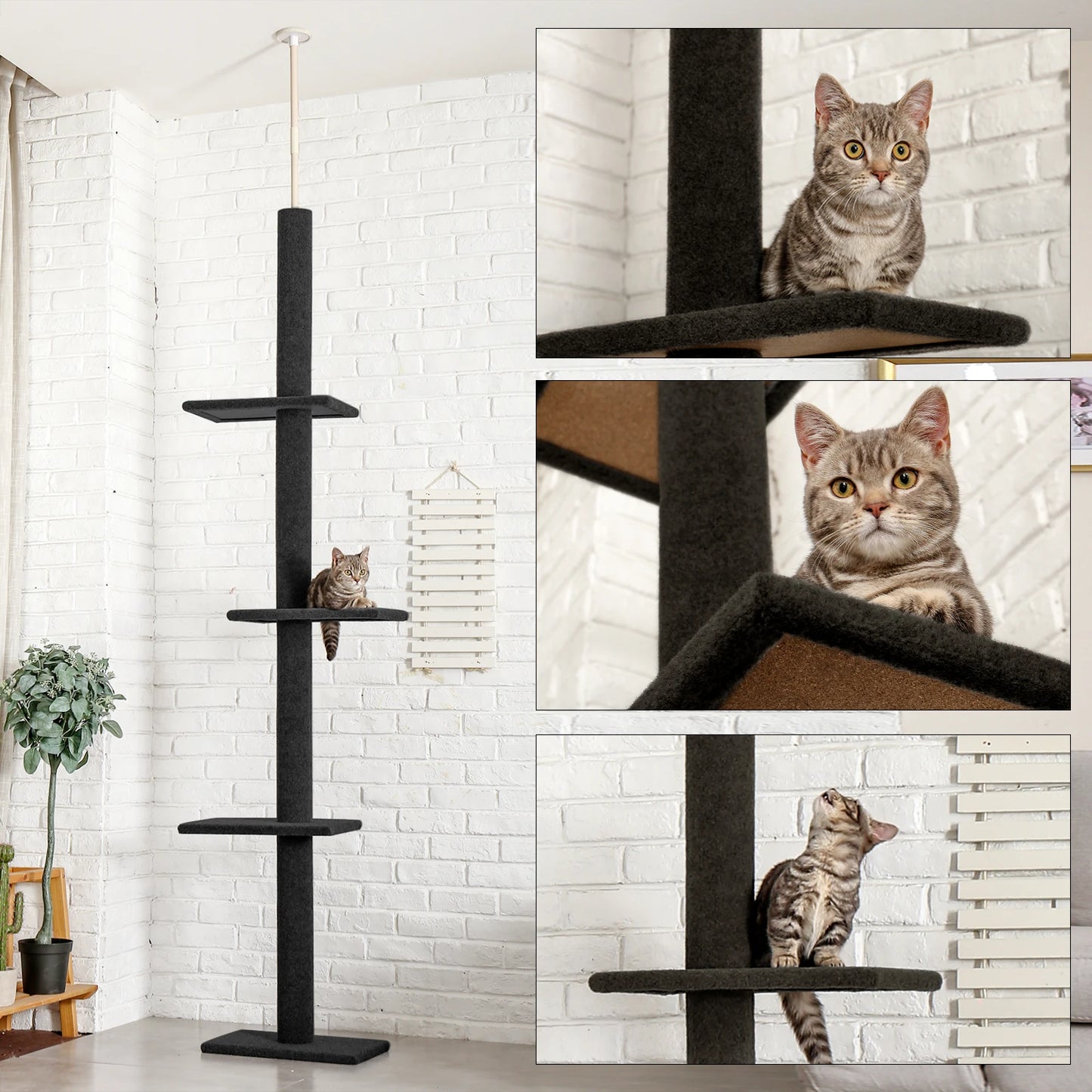 Adjustable Height Cat Tree for Indoor Tower with Scratching Posts