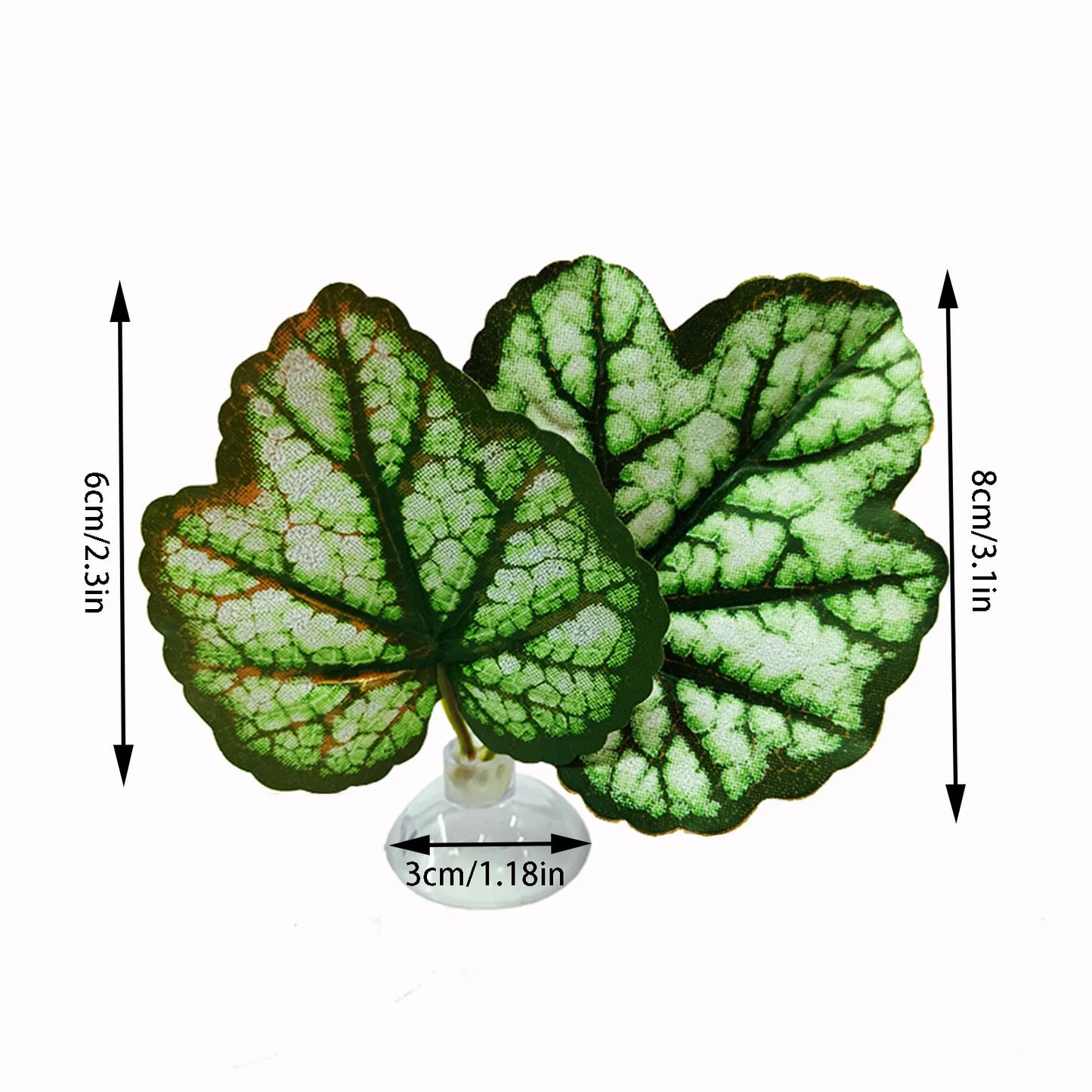 Betta Fish Leaf Pad Aquarium Plants