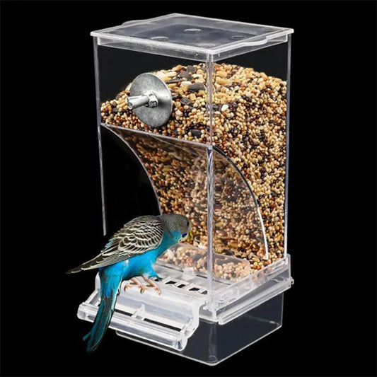 Small and Medium Automatic Acrylic Parakeet Bird Feeders