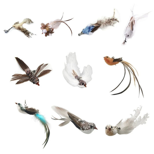 Simulation Bird Cat Toy Feather Bird with Bell