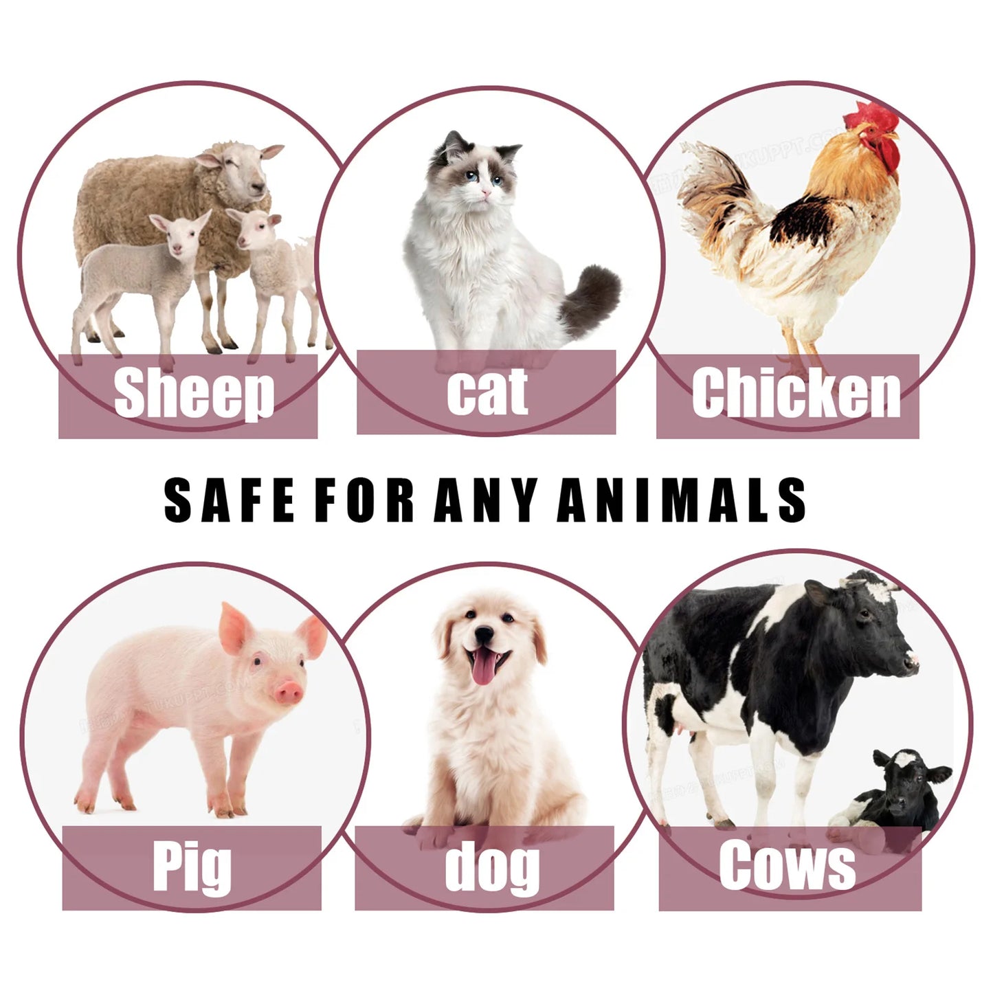 Pet Skin Spray Fleas Tick And Mosquitoes Spray