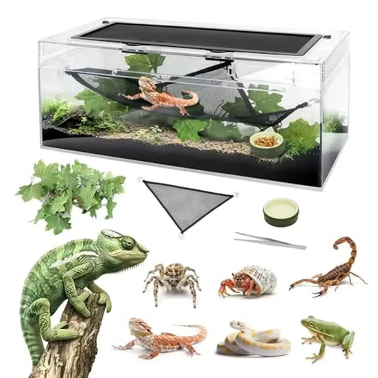 Reptile Terrarium Amphibian Tank Habitat