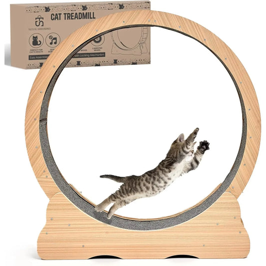 Cat Running Exercise Wheel Treadmill