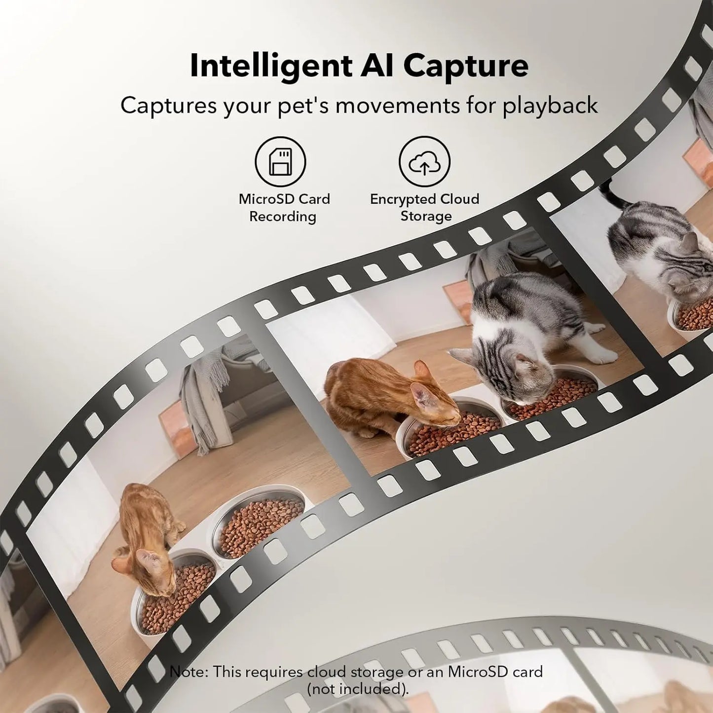 Automatic Cat Feeder with Camera for Two Cats