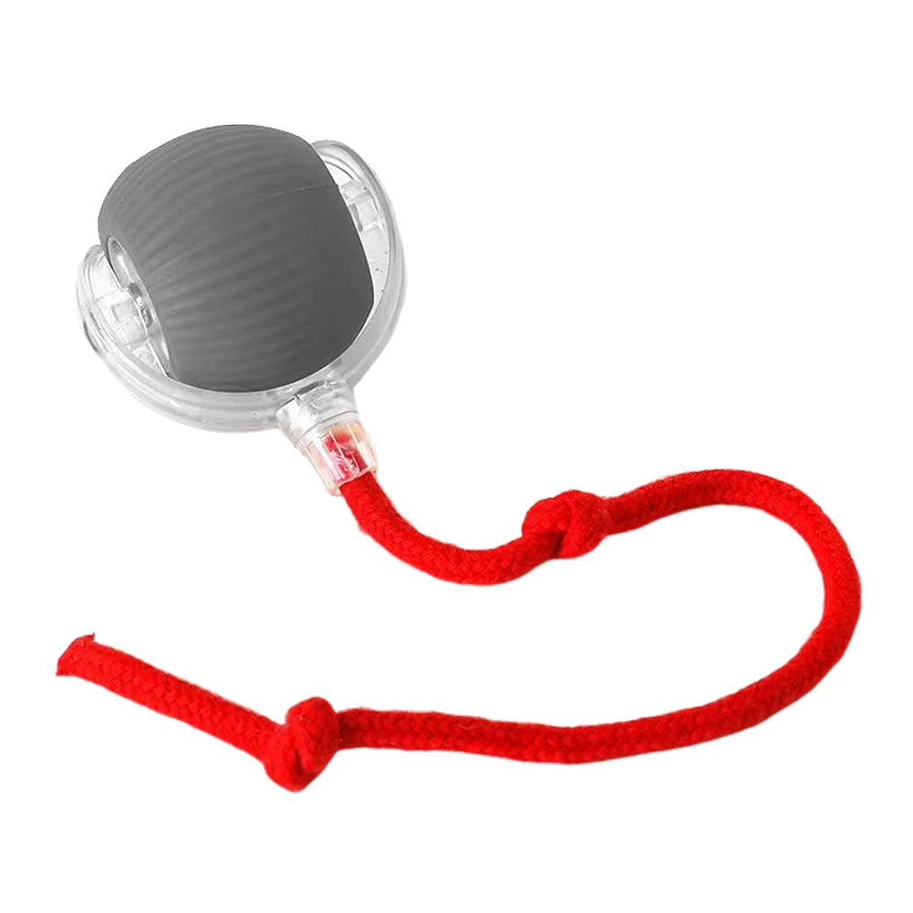 Smart Pet Toys  Ball Automatic Rolling  Interactive Training Self-moving