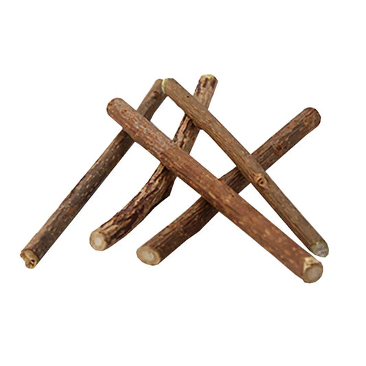 Apple Wood Chew Sticks Twigs For Small Pets
