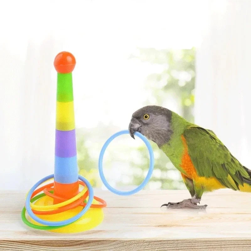 Bird Training Toy Supplies  Toy Accessories